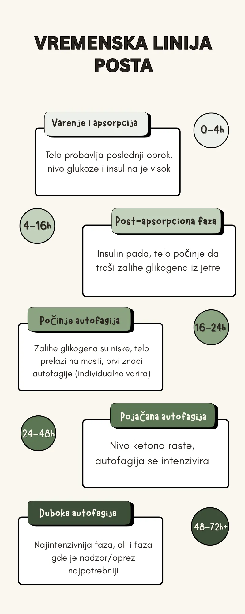 Vremenska linija posta i faze autofagije