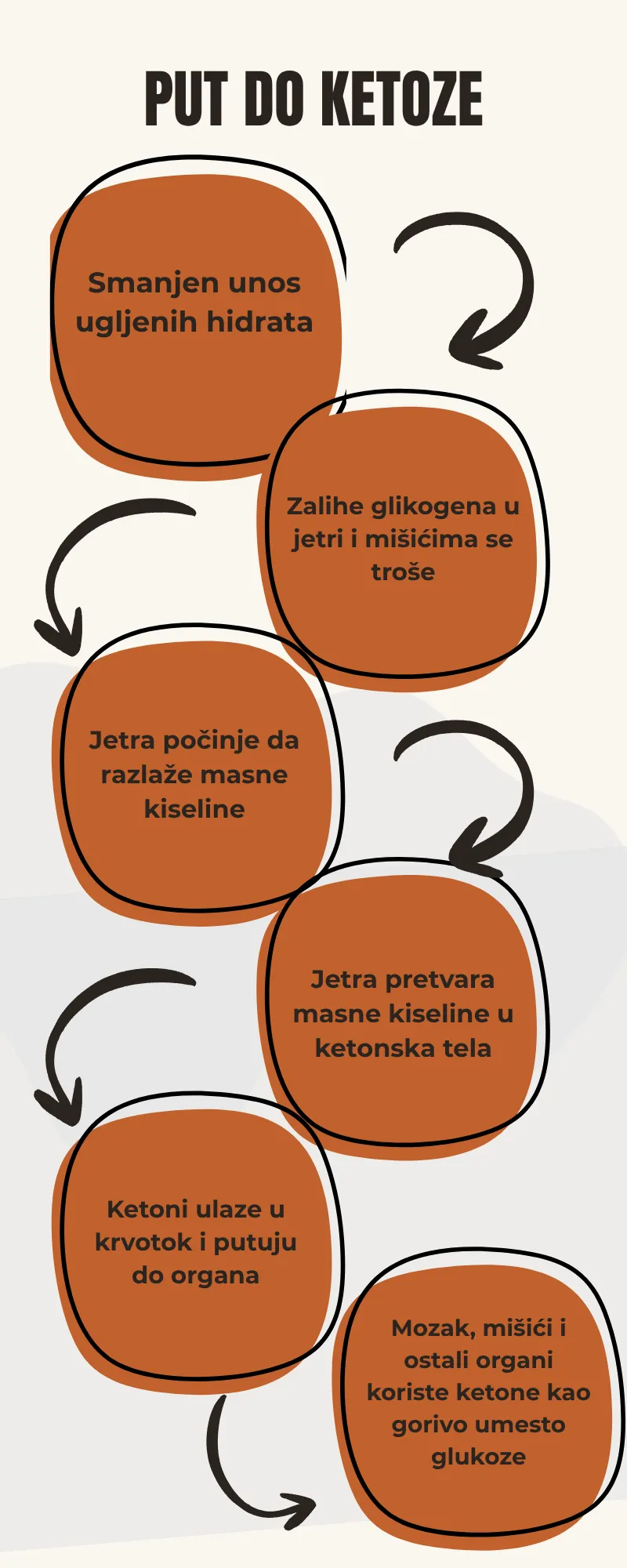 Put do ketoze Put do ketoze, dijagram u 6 koraka